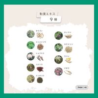 画像353
